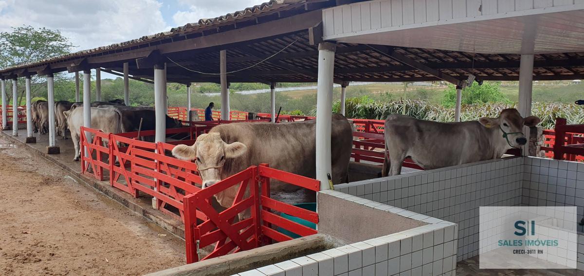  - Lote fazenda real 1 e 2  de 771m², à venda em condominio fechado