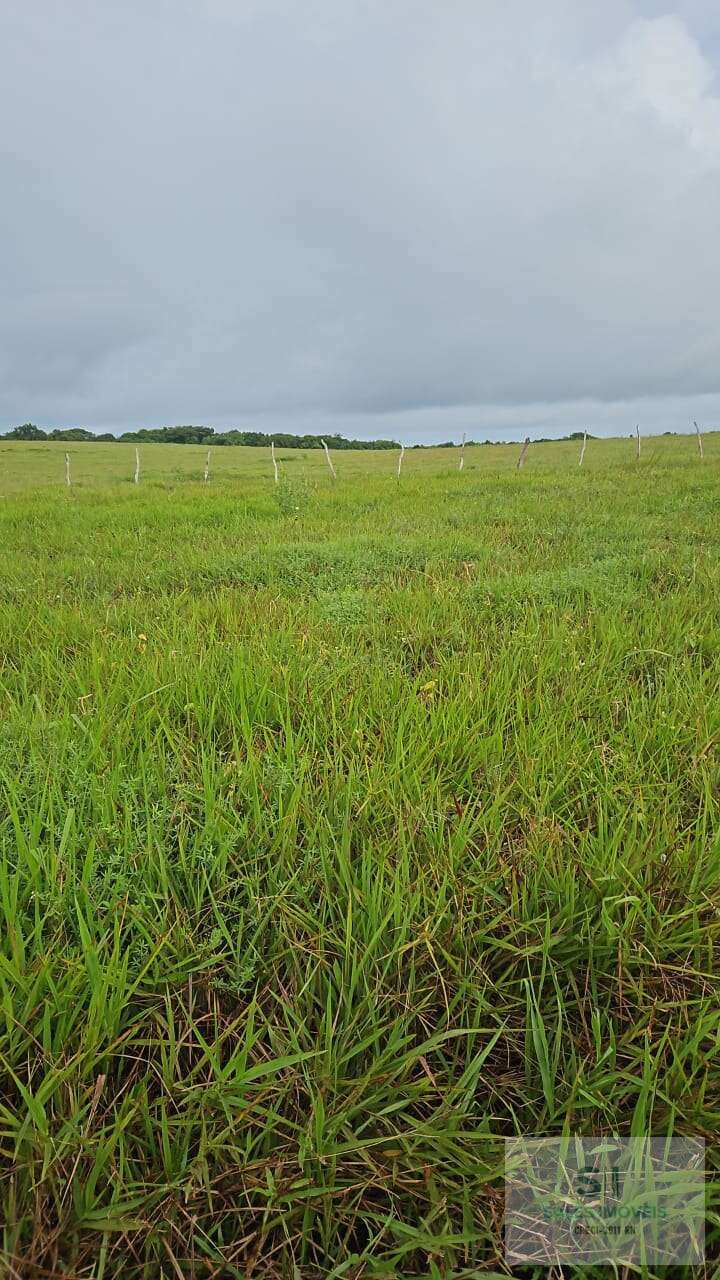Terreno à venda - TIBAU DO SUL,Tibau do Sul