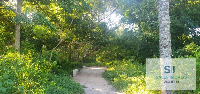  - Lote à venda condominio fechado em Parnamirim, Parque das Nações